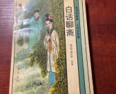 木石小姐姐,探寻自然与艺术的和谐共鸣