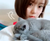 小姐姐小猫,小姐姐与小猫的温馨互动