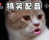 沙雕搞笑视频笑到吐血,欢乐无限