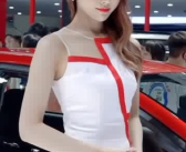 车模太美了,匠心独运的艺术品鉴赏