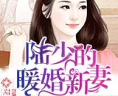 陆少的暖婚新妻免费阅读小说,甜蜜宠溺的婚后生活