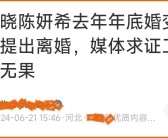 九年婚姻终成“体面废墟”：陈晓陈妍希离婚事件的三重暗礁娱乐吃瓜酱童话