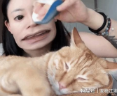 猫小姐姐