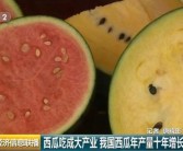 吃瓜群众力量大！在中国西瓜吃成“世界第一等”大产业西瓜娱乐吃瓜