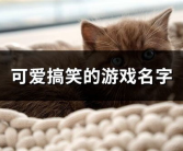 搞笑又损人的游戏名字,盘点搞笑又损人的游戏名字